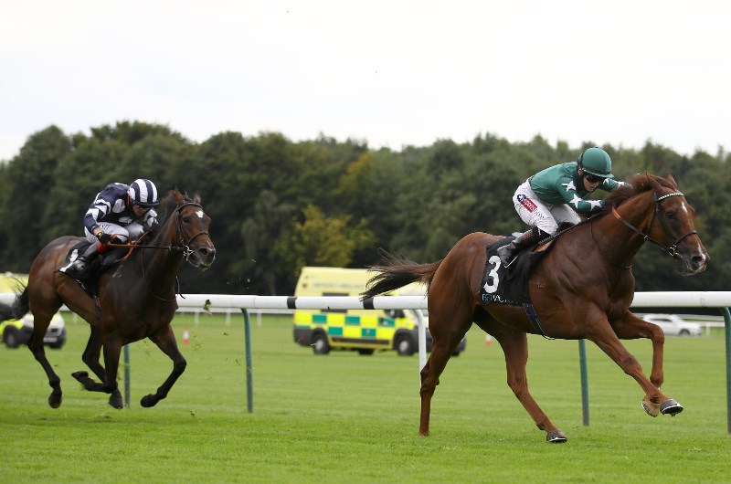 extra elusive stakes