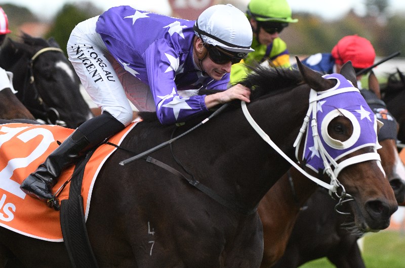 Caulfield Betting Tips