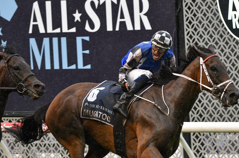 Mugatoo Injured - news