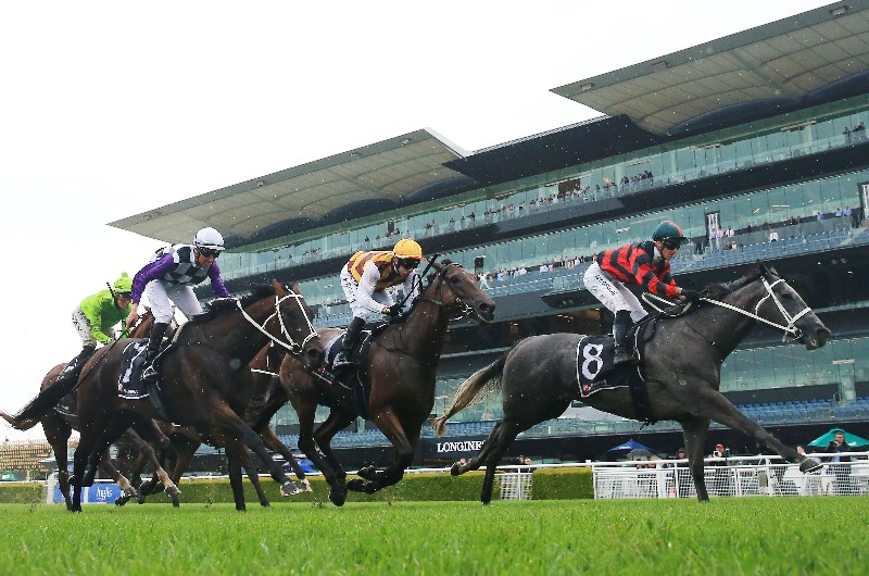Randwick Tips for 29.05.2021