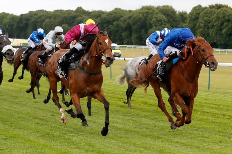 safe voyage haydock