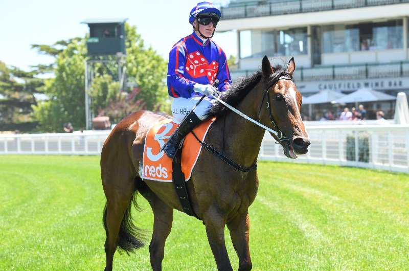 Big Bets for 29.05.2021