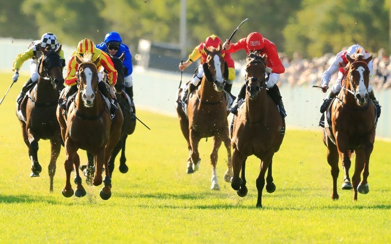 Gunnedah tips for Thursday, October 10