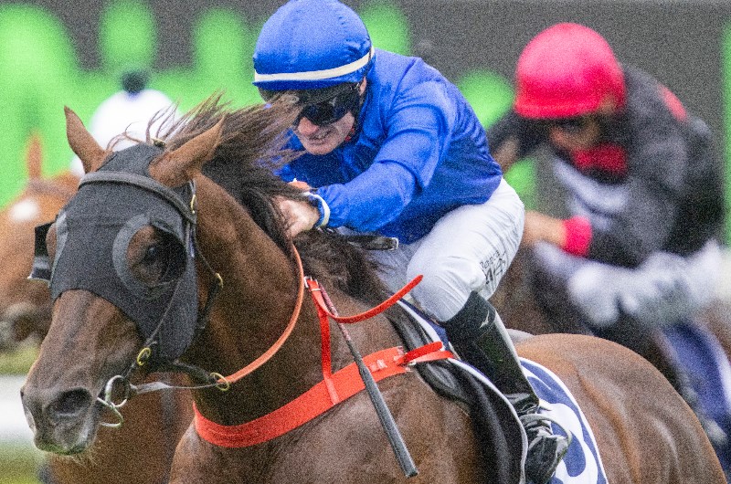 Big Bets Results from 29.05.2021