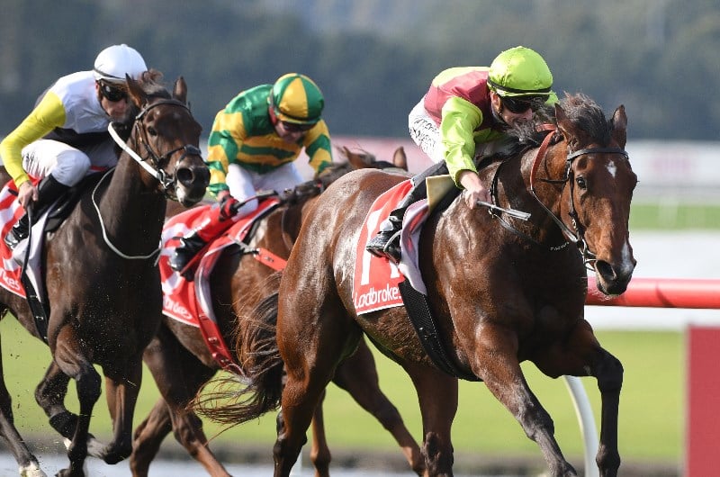 Hamilton Betting Tips
