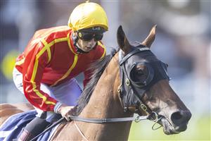 SYDNEY, AUSTRALIA - MAY 29: Jean Van Overmeire on Park Avenue returns to scale after winning race 1 the Ironmark Handicap during Sydney Racing at Royal Randwick Racecourse on May 29, 2021 in Sydney, Australia. (Photo by Jenny Evans/Getty Images)