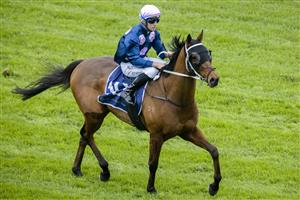 SYDNEY, AUSTRALIA - MAY 29: Tommy Berry on No Compromise returns to scale after winning race 3 the Taylor Construction Handicap during Sydney Racing at Royal Randwick Racecourse on May 29, 2021 in Sydney, Australia. (Photo by Jenny Evans/Getty Images)
