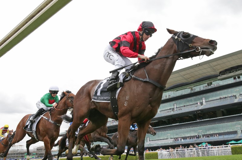 JJ Atkins Betting Odds