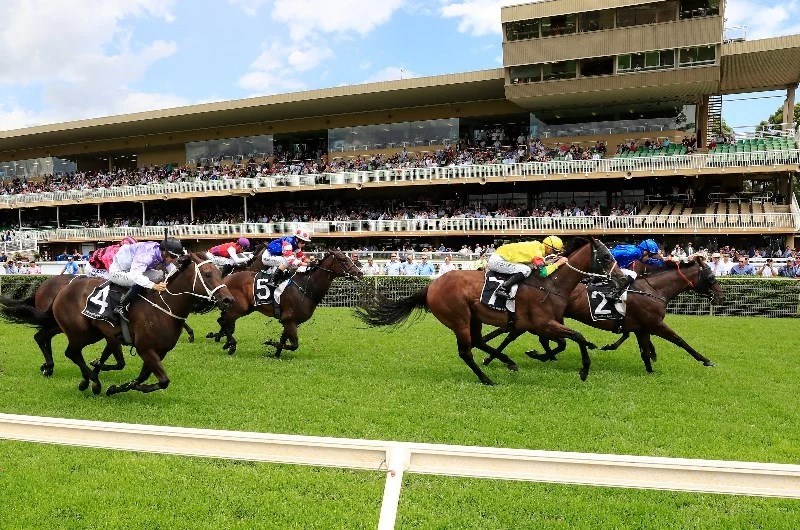 Warwick Farm Tips for 10.02.2021