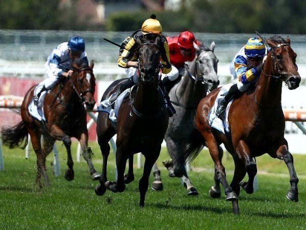 gawler tips for 17.06.2020