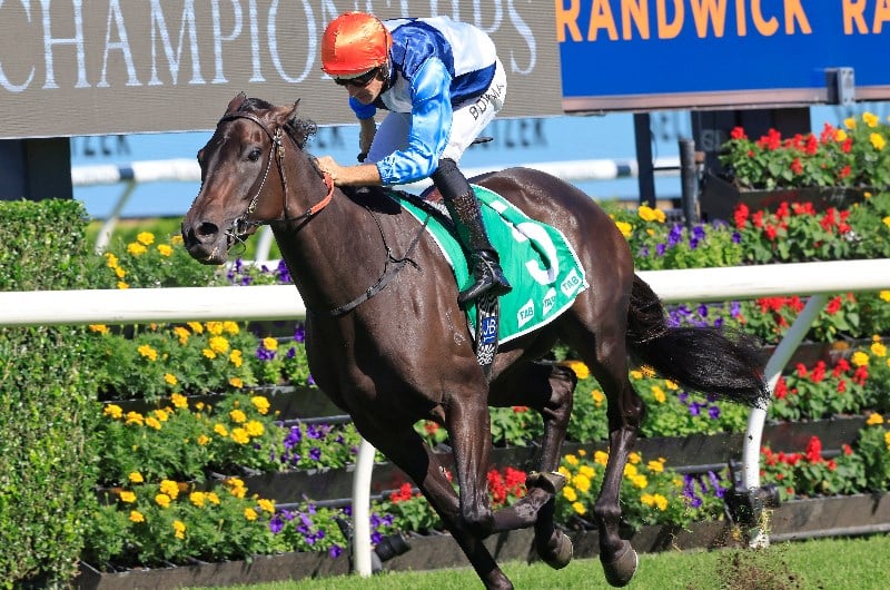 Queensland Oaks Betting Tips