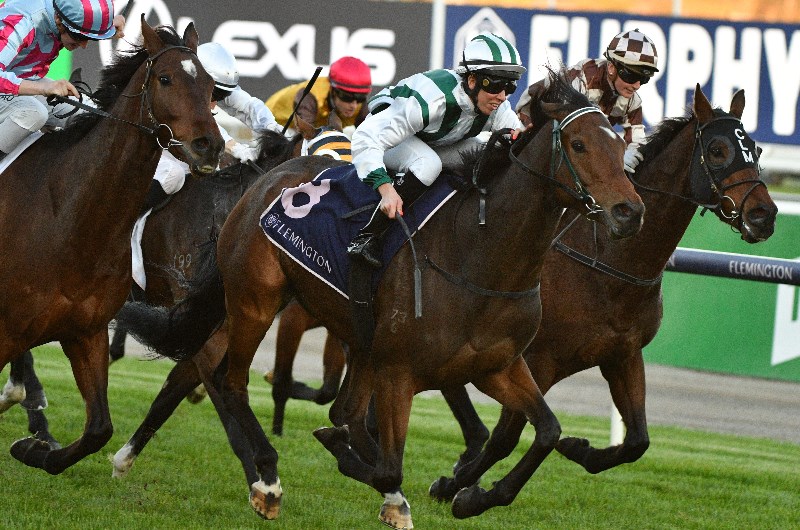 Flemington Betting Tips