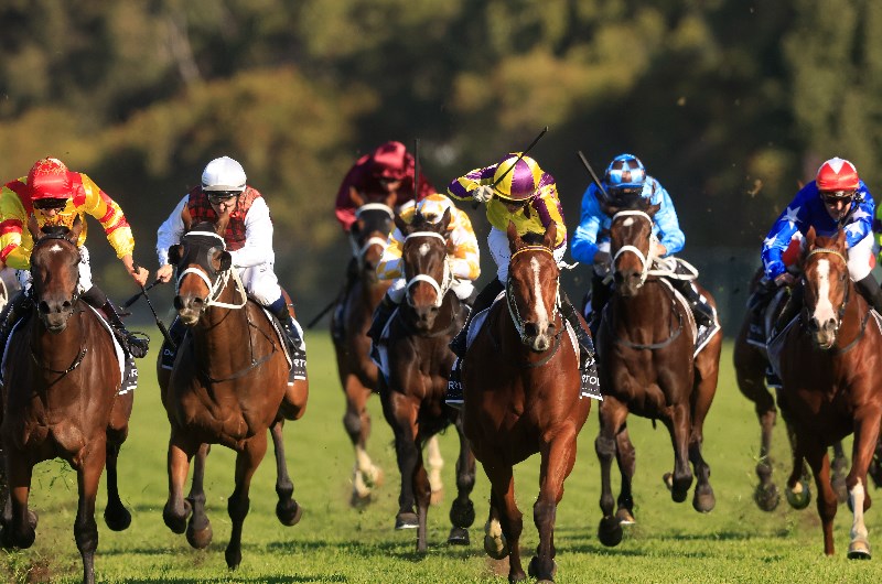 Rosehill Tips for 05.06.2021