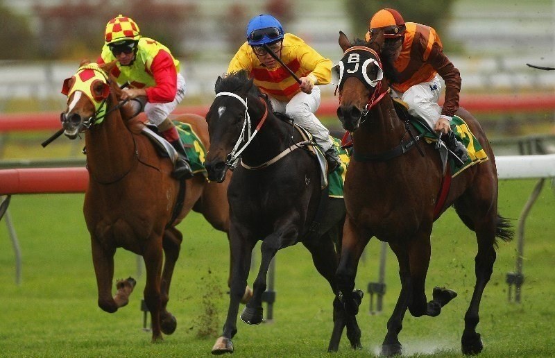 dubbo racecourse static
