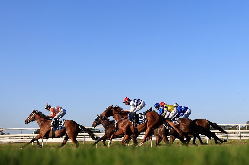 Muswellbrook Tips for 05.01.2020