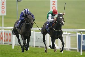 EPSOM, ENGLAND - JUNE 04: Martin Dwyer riding Pyledriver (red cap) win The Coral Coronation Cup from Jim Crowley and Al Aasy (blue) at Epsom Racecourse on June 04, 2021 in Epsom, England. Due to the Coronavirus pandemic only owners along with a limited number of the paying public will be allowed to attend the meeting. (Photo by Alan Crowhurst/Getty Images)