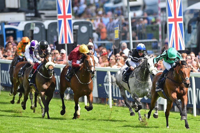 CENTURY DREAM EPSOM