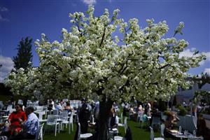 EPSOM, ENGLAND - JUNE 05: Racegoers relax in the blossom gardens at Epsom Racecourse on June 05, 2021 in Epsom, England. Due to the Coronavirus pandemic, only owners along with a limited number of the paying public will be allowed to attend the meeting. (Photo by Alan Crowhurst/Getty Images)