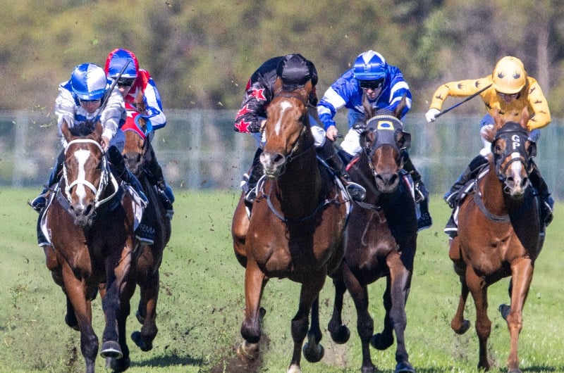 Blackbookers, June 5