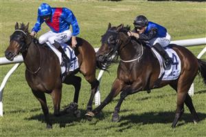 SYDNEY, AUSTRALIA - JUNE 05: Sam Clipperton (R) on Shadow Crush wins race 5 the Acy Securities Handicap during Sydney Racing at Rosehill Gardens on June 05, 2021 in Sydney, Australia. (Photo by Jenny Evans/Getty Images)