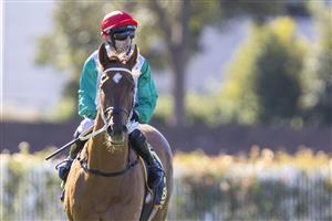 SYDNEY, AUSTRALIA - JUNE 05: Brenton Avdulla on Wicklow returns to scale after winning race 3 the Bisley Workwear Handicap during Sydney Racing at Rosehill Gardens on June 05, 2021 in Sydney, Australia. (Photo by Jenny Evans/Getty Images)