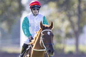 SYDNEY, AUSTRALIA - JUNE 05: Brenton Avdulla on Wicklow returns to scale after winning race 3 the Bisley Workwear Handicap during Sydney Racing at Rosehill Gardens on June 05, 2021 in Sydney, Australia. (Photo by Jenny Evans/Getty Images)