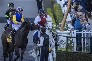SYDNEY, AUSTRALIA - JUNE 05: Tim Clark on Knight's Order wins race 7 the Winter Cup during Sydney Racing at Rosehill Gardens on June 05, 2021 in Sydney, Australia. (Getty)
