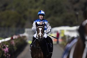 SYDNEY, AUSTRALIA - JUNE 05: Tommy Berry on Cape Breton returns to scale after winning race 1 the Bowermans Commercial Furniture Handicap during Sydney Racing at Rosehill Gardens on June 05, 2021 in Sydney, Australia. (Photo by Jenny Evans/Getty Images)