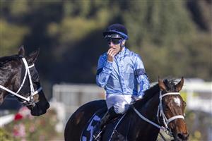 SYDNEY, AUSTRALIA - JUNE 05: Tommy Berry watches the race replay after winning race 6 the The Agency Real Estate Handicap during Sydney Racing at Rosehill Gardens on June 05, 2021 in Sydney, Australia. (Photo by Jenny Evans/Getty Images)