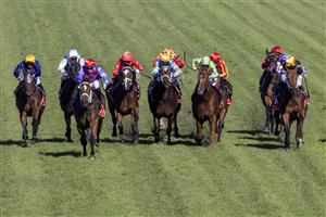 SYDNEY, AUSTRALIA - JUNE 05: Tommy Berry (red diamonds) on Oscar Zulu wins race 4 the Fujitsu General Handicap during Sydney Racing at Rosehill Gardens on June 05, 2021 in Sydney, Australia. (Photo by Jenny Evans/Getty Images)