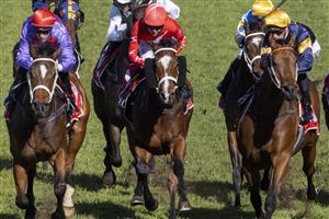 SYDNEY, AUSTRALIA - JUNE 05: Tommy Berry (red diamonds) on Oscar Zulu wins race 4 the Fujitsu General Handicap during Sydney Racing at Rosehill Gardens on June 05, 2021 in Sydney, Australia. (Photo by Jenny Evans/Getty Images)