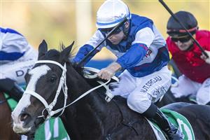 SYDNEY, AUSTRALIA - JUNE 05: Tommy Berry on Mubariz wins race 8 the Precise Air Handicap during Sydney Racing at Rosehill Gardens on June 05, 2021 in Sydney, Australia. (Photo by Jenny Evans/Getty Images)