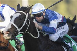 SYDNEY, AUSTRALIA - JUNE 05: Tommy Berry on Mubariz wins race 8 the Precise Air Handicap during Sydney Racing at Rosehill Gardens on June 05, 2021 in Sydney, Australia. (Photo by Jenny Evans/Getty Images)