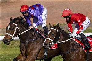 SYDNEY, AUSTRALIA - JUNE 05: Tommy Berry (red diamonds) on Oscar Zulu wins race 4 the Fujitsu General Handicap during Sydney Racing at Rosehill Gardens on June 05, 2021 in Sydney, Australia. (Photo by Jenny Evans/Getty Images)