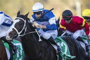 SYDNEY, AUSTRALIA - JUNE 05: Tommy Berry on Mubariz wins race 8 the Precise Air Handicap during Sydney Racing at Rosehill Gardens on June 05, 2021 in Sydney, Australia. (Photo by Jenny Evans/Getty Images)