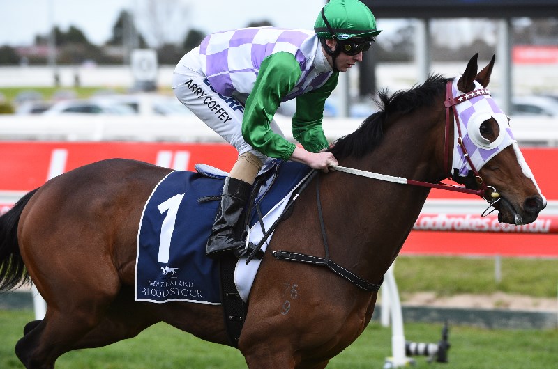 Sale Betting Tips