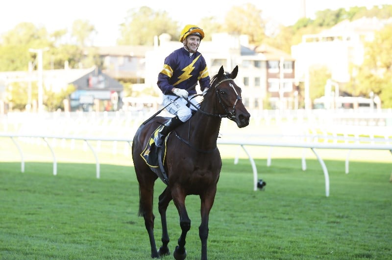 Stradbroke Handicap Barrier Draw