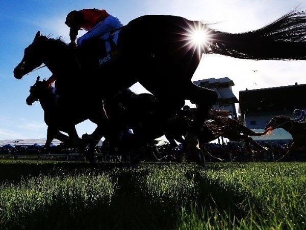Strathalbyn tips