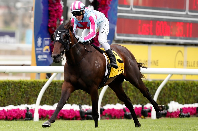Sunshine Coast Betting Tips