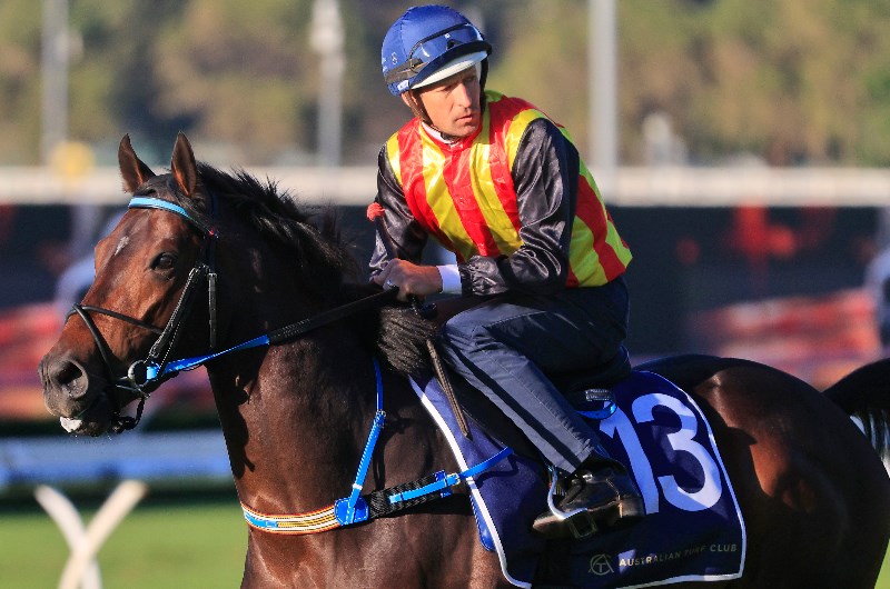 JJ Atkins Betting Tips