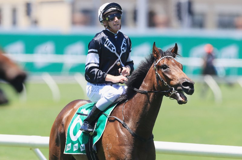 Stradbroke Handicap Betting Tips
