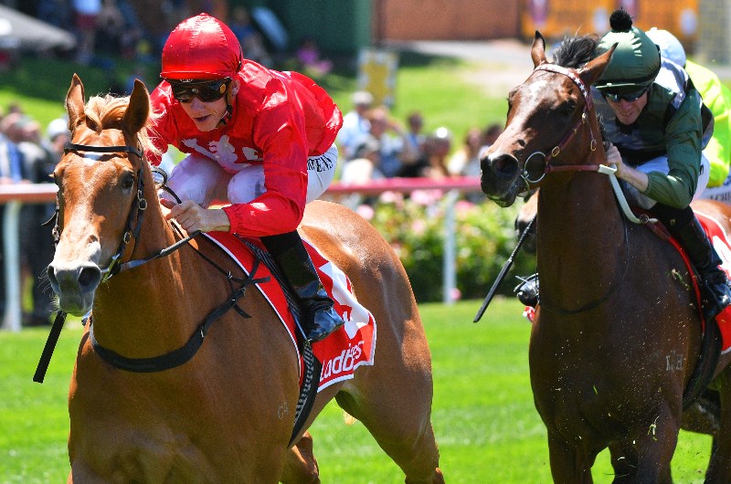 Eagle Farm Betting Tips