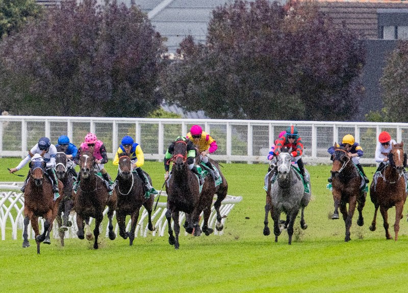Randwick Tips for 12.06.2021