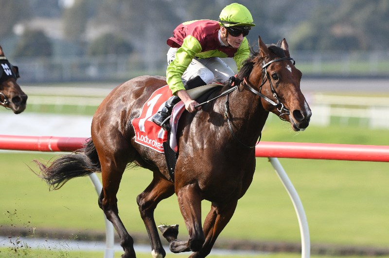 Swan Hill Betting Tips