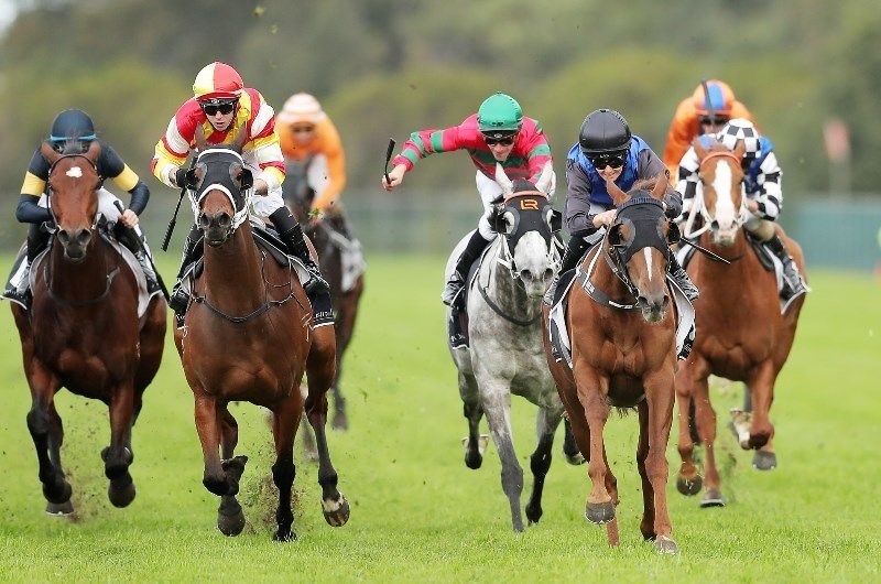 Wagga tips for 14.07.2020