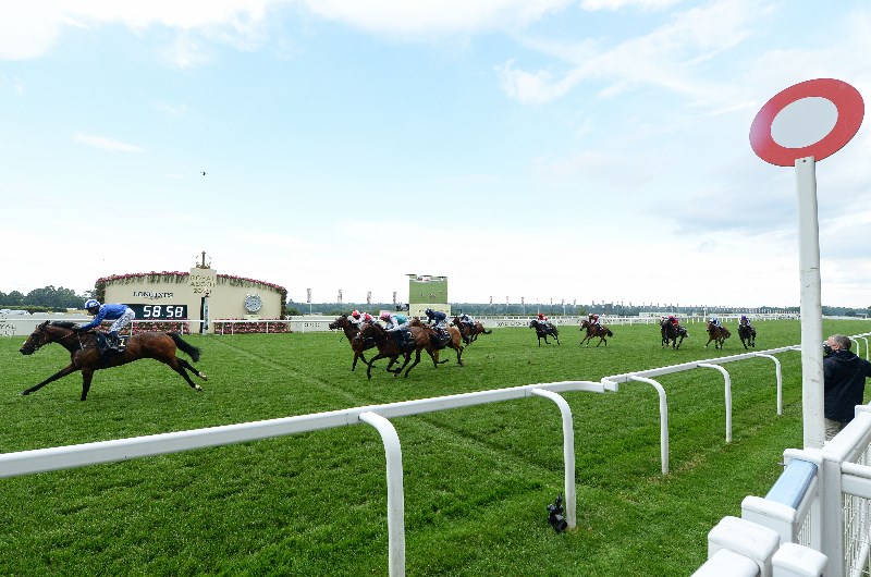 king's stand stakes