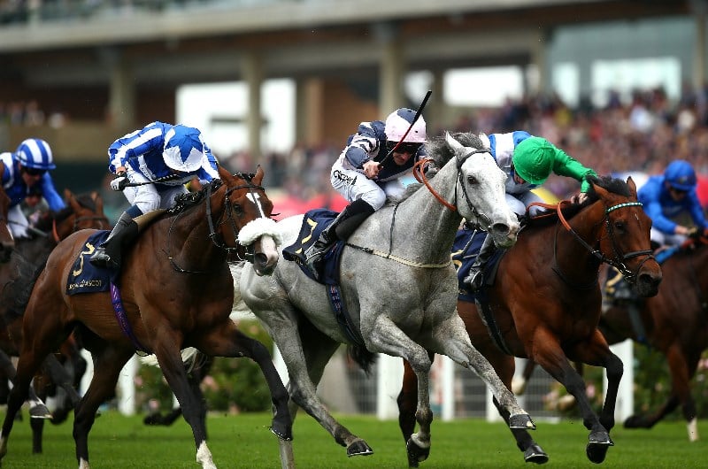 lord glitters ascot