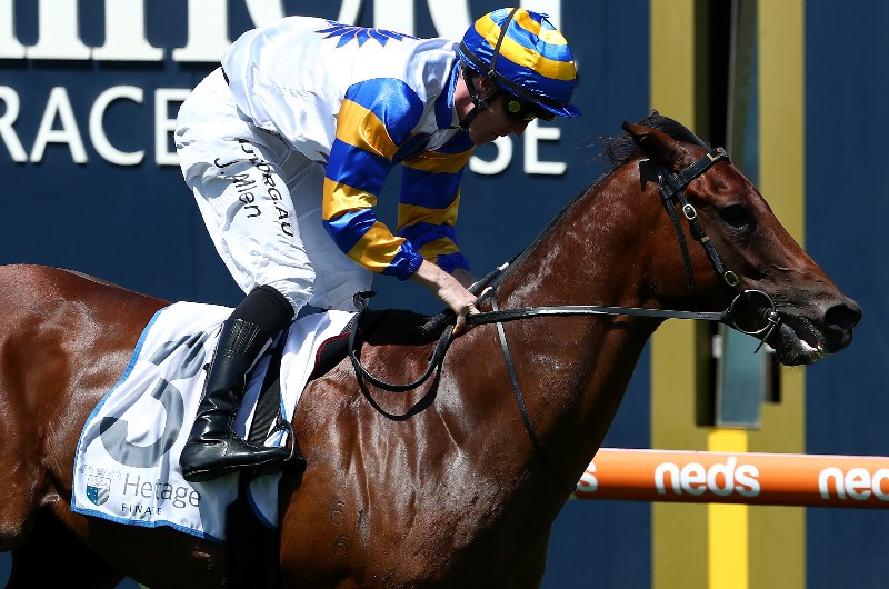 Swan Hill Betting Tips