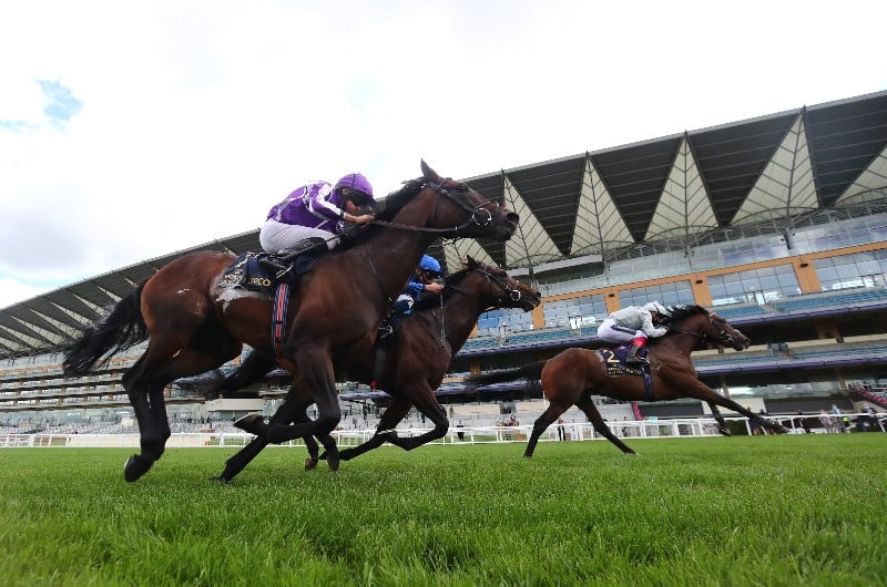 st james's palace stakes