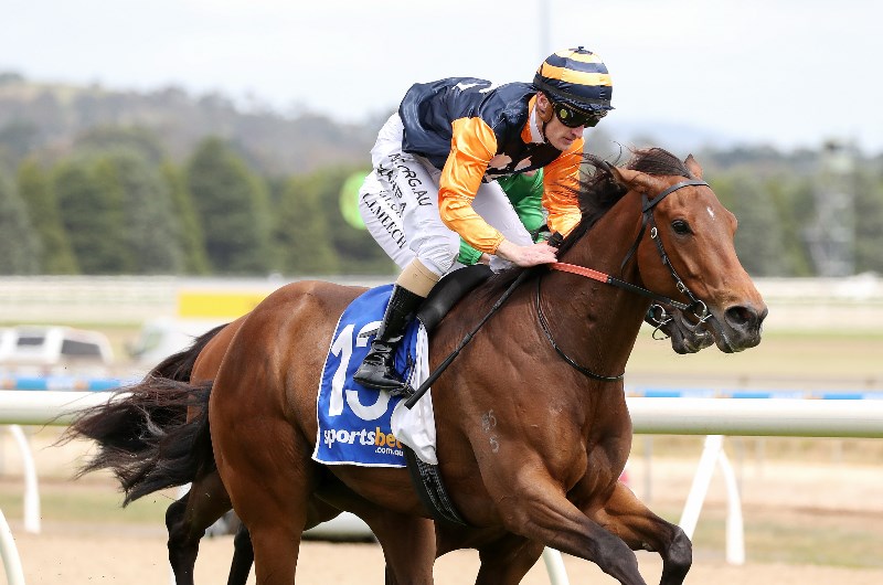 Ballarat Betting Tips
